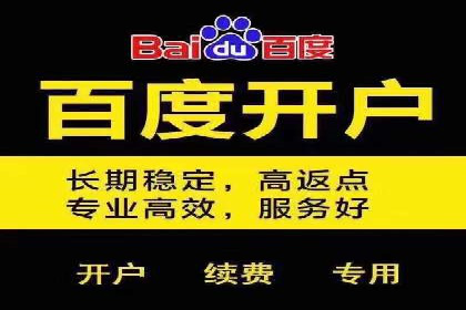 SEM竞价托管案例，助力企业业绩腾飞